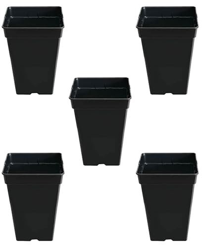 GROWMANIA Pack 5 Macetas Cuadradas para Plantas Negra 3L - Cinco Maceteros de Plástico para Flores 15x15x20 cm