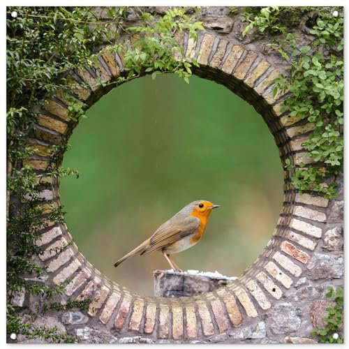 MuchoWow© Gartenposter Groß 100x100 cm XXL Outdoor Bilder Gartendeko für draußen Wetterfest Garten Deko Modern Geschenke Banner Draußen Bild Vogel - Fensterblick - Rotkehlchen