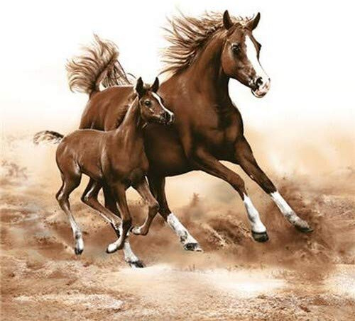 20 Servietten Pferde im Galopp | Tiere | Tischdeko 33x33cm