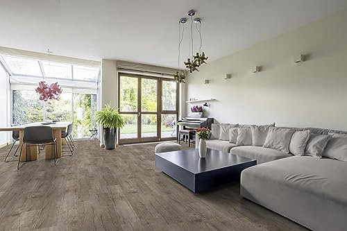 TRECOR® Dryback Vinylboden massiv zum Kleben - Holzdekor - 2 mm Stark (Eiche Old Rustik, Vinylboden 1 qm)