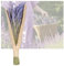 Lavendel getrocknet im Bund - Bio Trockenblumen 40-50cm, duftenden Lavendelblüten Deko Blumen Strauß oder Trockenblumen Kranz etwa 250 Stängel getrockneter Lavendel (1)