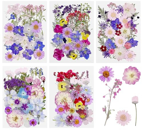 Cayway 170 Pz Naturali Pressati Fiori Pressati Secchi, Bianco e Nero Foglie Pressate Naturali per Resina, Fiori Secchi Veri Pressati Fiori per Scrapbooking, Gioielli in Resina Epossidica, Viola