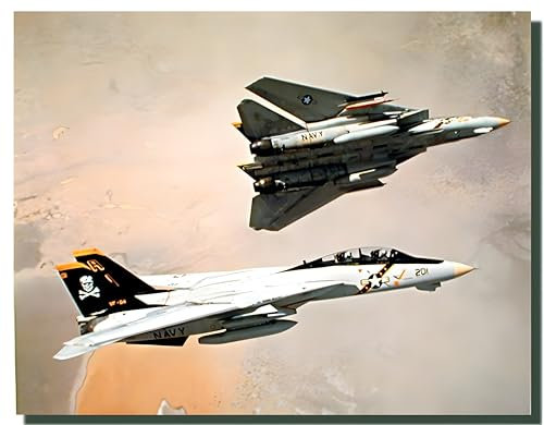 Impact Posters Gallery - F-14 Kunstdruck / Poster, Tomcat Flugzeug / Luftfahrt / Jet / Flugzeug, 40,6 x 50,8 cm