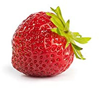 Erdbeerprofi - Erdbeere Mara des Bois - 10 Erdbeerpflanzen/Erdbeersetzlinge - gut durchwurzelt, immertragend - Pflanzzeit: August - September; Ernte: Juni-Oktober