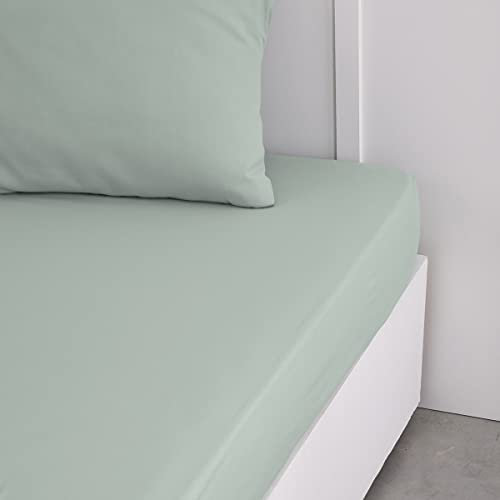 TODAY Essential - Drap Housse 140X190 cm 2 Personnes 100% Coton Uni, Celadon