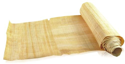 Papyrus Buchrolle 400cm - Plinius der Ältere secundus - Forum Traiani - Schriftrolle aus ägyptischem Papyrus - Antike Schriftrolle