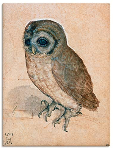 ARTLAND Wanddeko Leinwand Bilder Wandbild 60x80 cm Tiere Vogel Eule Käuzchen 1508 Renaissance Albrecht Dürer R0UY