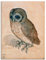ARTLAND Wanddeko Leinwand Bilder Wandbild 60x80 cm Tiere Vogel Eule Käuzchen 1508 Renaissance Albrecht Dürer R0UY