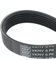 SKF VKMV6PK2260 VKMV 6PK2260 Keilrippenriemen, Schwarz