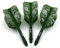 CUESOUL ROST Personalisierte integrierte Dartpfeile Schäfte Schäfte und Darts Flights Medium, 3er Set Schädel Pattern (CSAK-5KL10-S)