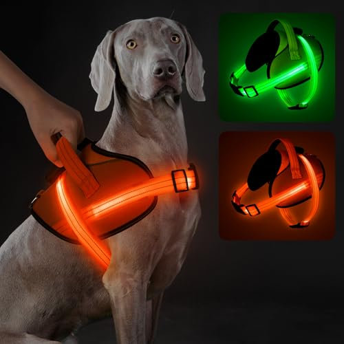 Light Up Hundegeschirr, No-Pull Led Hundegeschirr Wiederaufladbar, Reflektierend Leuchtgeschirr für Hunde, Einstellbar & Komfort Gepolstert für Sicherheit beim Nachtspaziergang (Orange, XL)