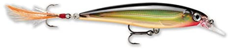 Rapala X-Rap Jerkbait 06 Angelköder (Gold, Größe - 2,5)