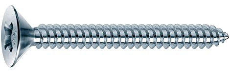 Vis Parker Tête Plate 2 9 x 16 0 ZN blanche (% 10) [Mustad]