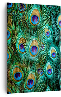 Wandbilder Dekoration Wohnzimmer Pfauen Feder Makro Bilder auf Leinwand 80x120cm Leinwandbild mit Rahmen Schlafzimmer Küche Deko Wand Kunstdruck Art Groß XXL Wanddeko Bild Wall Canvas PA80x120-4159