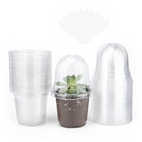 KINGLAKE 32 Pcs 10cm Clear Plastic Plant Pots with Humidity Dome, Small Plant Flower Pots Nursery Seedling Pots for Seed, Cuttings, Succulents and 10 Pcs Plant Labels