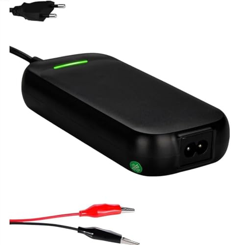 Xietongpo 14,6 V 3 A Lithium Batterieladegerät mit Krokodilklemmen, | entwickelt für 12,8 V LiFePO4 Batterien