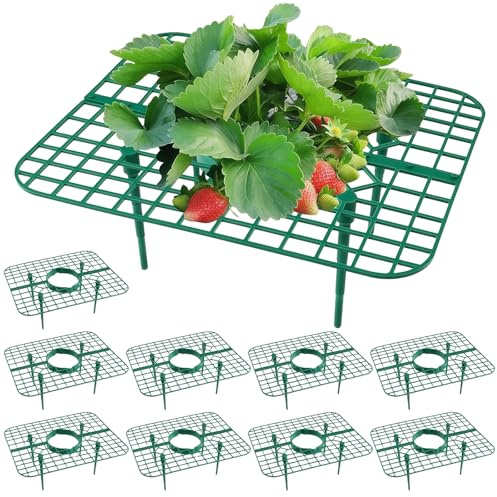 Richaa 10 Pièces Support Fraisier, Carré Strawberry Supports avec Quatre Pieds Stables pour Serre et Plantes en Pot, Support Fraise