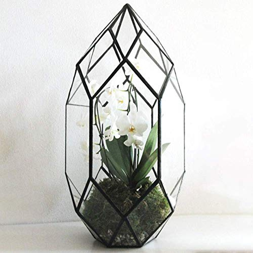 Handmade 10 Large Glass Terrarium Irregular Geometric Planter Indoor Air Plants Holder Window Balcony Display Succulent Flower Pot, Black (5.9L x 11W x 6.5H)