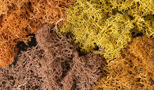 Woodland Scenics Lichen Autumn Mix