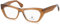 Lanvin Unisex LNV2627 Sunglasses, 208 Caramel, 54