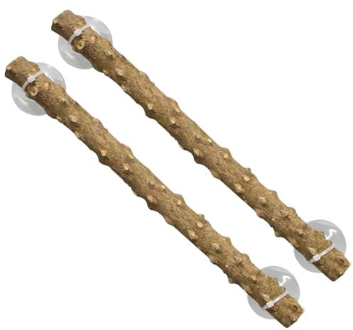 Reptilien Ecke Kletterast Kletterstange 2 Stück Zweige Klettern Baum AST Reptilien Natur AST Terrarium Lebensraum Treibholz Dekoration Deko für Eidechsen