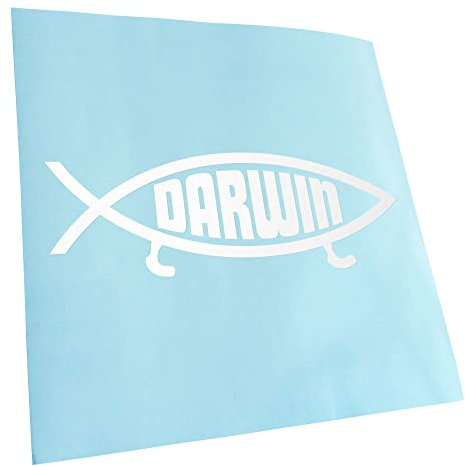Kiwistar - Autoaufkleber - Weiß - 15x5cm Darwin Fisch - Heckscheibe Auto Aufkleber wetterfest für Kfz LKW Mofa Truck - Sticker außen selbstklebend Tuning Zubehör für Fenster Fahrzeug Scheibe
