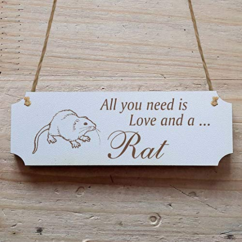 Schild « RATTE » 15 x 5 cm - Dekoschild Holzschild Türschild Zoo Safari Tierpark Haustier