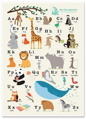 Das Tieralphabet Poster von Sandy Lohß Wandbilder für jeden Raum 60 x 80 cm Bunt Geschenkideen Wanddeko
