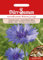 Kornblumen Blauer Junge