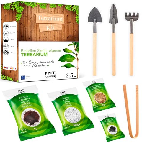 Kit Terrario Plantas DIY - Set Ecosistema Cerrado Plantas para Jardin en Botella (2-4) - Terrarium para Bosque Eterno de Interior - Sin Planta (Set sin Frasco, XL)