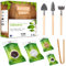 Kit Terrario Plantas DIY - Set Ecosistema Cerrado Plantas para Jardin en Botella (2-4) - Terrarium para Bosque Eterno de Interior - Sin Planta (Set sin Frasco, XL)