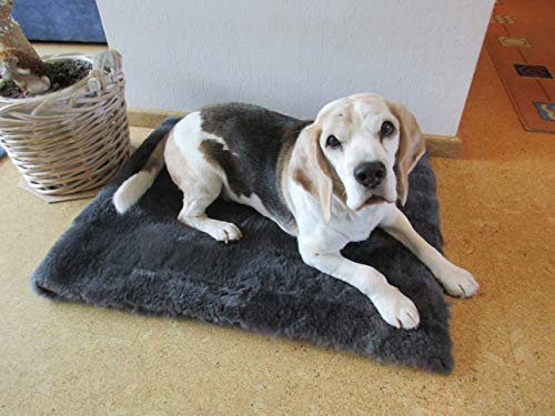 Engel Naturfelle Liegedecke Teppich für Katze und Hund Lammfell (Patch) 140x60cm anthrazit grau