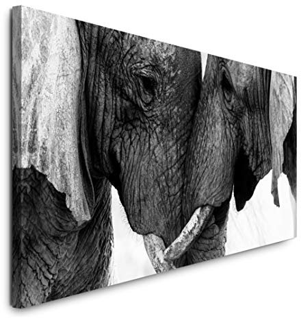 Paul Sinus Art GmbH Elefanten 120x 50cm Panorama Leinwand Bild XXL Format Wandbilder Wohnzimmer Wohnung Deko Kunstdrucke