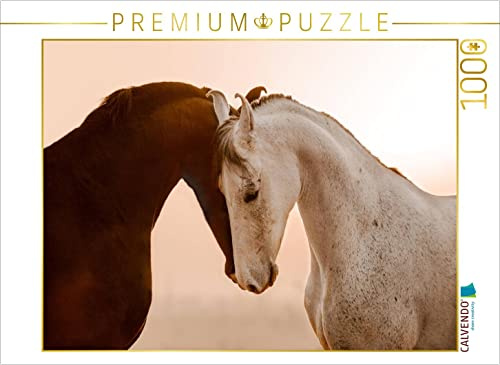 CALVENDO Puzzle Marwari Pferde | 1000 Teile Lege-Größe 64 x 48 cm Foto-Puzzle für glückliche Stunden