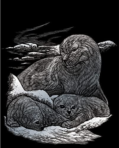 Royal & Langnickel - Kratzbild Seehund & Babys, Silber, Kratzbilder für Kinder und Erwachsene, mit Kratzstift und Vorlage