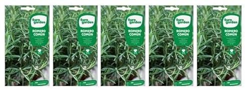 Semillas Romero Común, Planta culinaria aromática, (Pack 5 sobres x 200 mg). 1 GR