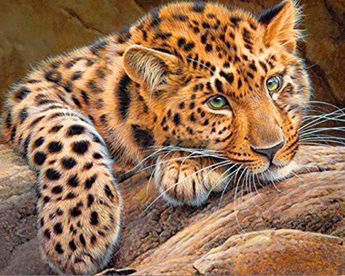 Crafts&Co® Diamond Painting Set, 5D Diamant Malerei, DIY, Malen nach Zahlen, Runde Dril Perlen, Wandbild, Kunsthandwerk für Zuhause, Wanddekoration (Leopard, 40 x 50 cm)