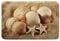 Seestern Badematte 50x80cm Strand Muscheln rutschfest Badezimmerteppich Ozean Marine Thema Zottelig Saugfähig Badteppiche Tropisch Hawaiian Strand Weich Lauschig Badvorleger für Wohnzimmer Küche