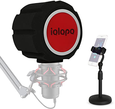 Pop Filter for Mic,Professional Eyeball Microphone Isolation Shield, Acoustic Microphone Windscreen Foam Cover for Recording Studio Microphone,Sound-Absorbing Foam that Reduces Noise and Reflections