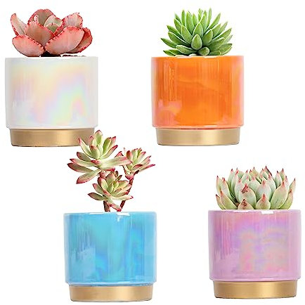 Gepege Succulent Pots for Plants, Succulent Planter with Drainage Holes, Ceramic Pot for Indoor Plant, Set of 4