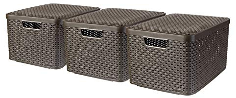 Curver Style Box L mit Deckel, 3er-Set