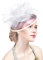 YJZQ Fascinator Hüte Braut Hut Gefieder Schleier Mesh Stirnband Haar Clip Accessoire Partyhut Tee Party Cocktail Hochzeit Kirche für Mädchen und Frauen