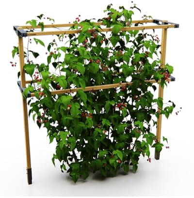 Gusta Garden Berry Buddy – Flexibelt rankstöd för bär: hallon, björnbär och blåbär, expanderbar, tillverkad i EU, rankgaller av trä (360 cm)