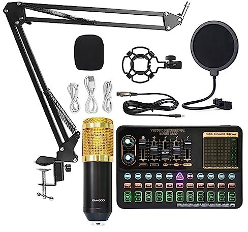 Micro de studio BM800 Microphone professionnel Micro à condensateur V8 V9 V10 Carte son PC Ordinateur Audio USB Studio d'enregistrement Jeu Diffusion en direct KTV Gardez votre voix claire(V10 and BM8