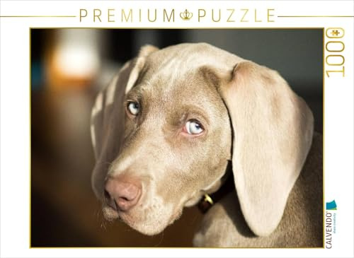 CALVENDO Puzzle Weimaraner | 1000 Teile Lege-Größe 64 x 48 cm Foto-Puzzle für glückliche Stunden