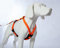 Feltmann Hundegeschirr Mantrailing/Suchgeschirr Profi - Super Soft, Neonorange, reflektierend, Bauchumfang 70-90 cm, 25 mm Bandbreite