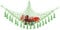 Corner Mesh Triangle, Toys Storage Woven Tassel Net, Soft Corner Hanging Netting Boho Stuffed Macrame Net Toy Storage Hanging Wall Toys Organizer Pocket Storage Swing Net for Home Toys (Fruit Green)