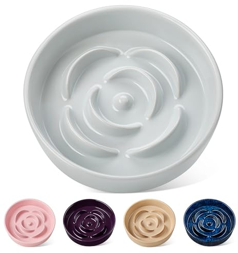vancasso Slow Feeder Hundenapf, 1,5 Tassen Keramik Hundefutter Schüssel für Fast Eaters Kleine Rassen, Puzzle Schüssel für Kleine Hunde und Katzen, Meeresschaumgrün