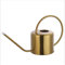QYLJZB Regadera de metal de 1,3 l, para riego portátil, para jardín, para plantas de jardín de interiores y exteriores (dorado)
