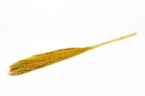 INNA-Glas Schilf getrocknet DONJETA, Curry, 115-120cm, Ø15cm - Getrockneter Bund